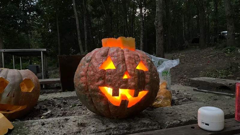 アトランティックジャイアント 展示